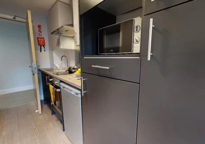Habitación privada en 114 Dundee Street Fountainbridge Edinburgh EH11 1AB United Kingdom, imagen 28 de 30