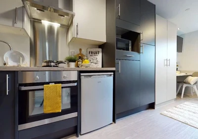 Habitación privada en 114 Dundee Street Fountainbridge Edinburgh EH11 1AB United Kingdom, imagen 29 de 30