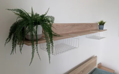 Privatzimmer in der Graeffstraße, bild 28 von 33