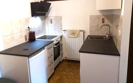 Gesamte Unterkunft in der Rožna Dolina, cesta XVII, bild 2 von 11