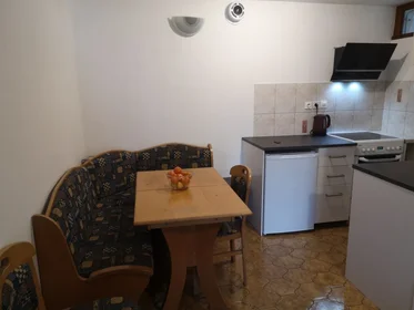 Gesamte Unterkunft in der Rožna Dolina, cesta XVII, bild 4 von 11
