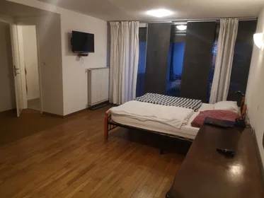 Gesamte Unterkunft in der Rožna Dolina, cesta XVII, bild 7 von 11