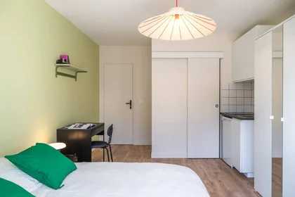 Chambre privée à Villejuif, 94800, image 11 de 32