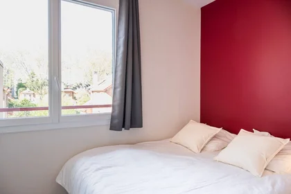 Chambre privée à Villejuif, 94800, image 17 de 32