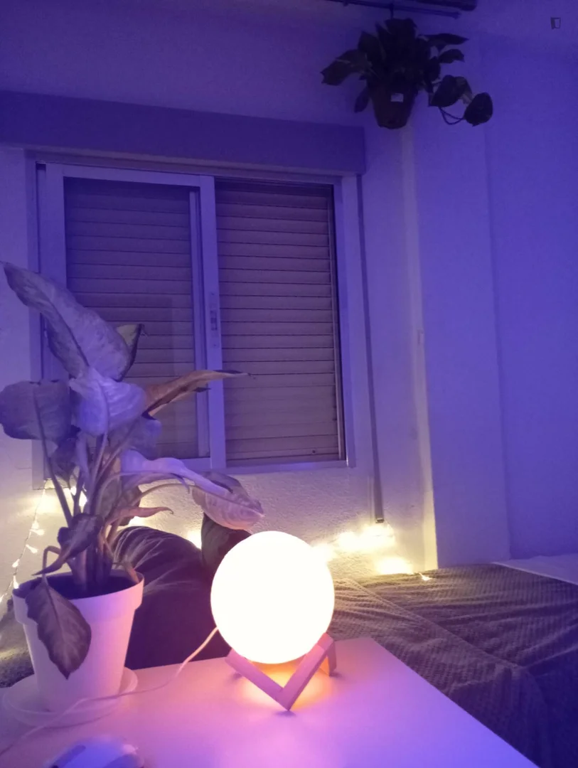 Chambre d'étudiant lumineuse et aérée avec accès facile à l'université dans 