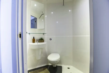 Özel oda konumu Stoddart St, Shieldfield, Newcastle upon Tyne NE2 1BS, United Kingdom, 14 20 görüntüsü