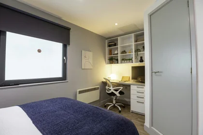 Özel oda konumu Stoddart St, Shieldfield, Newcastle upon Tyne NE2 1BS, United Kingdom, 5 20 görüntüsü