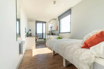 Özel oda konumu Stoddart St, Shieldfield, Newcastle upon Tyne NE2 1BS, United Kingdom, 9 20 görüntüsü