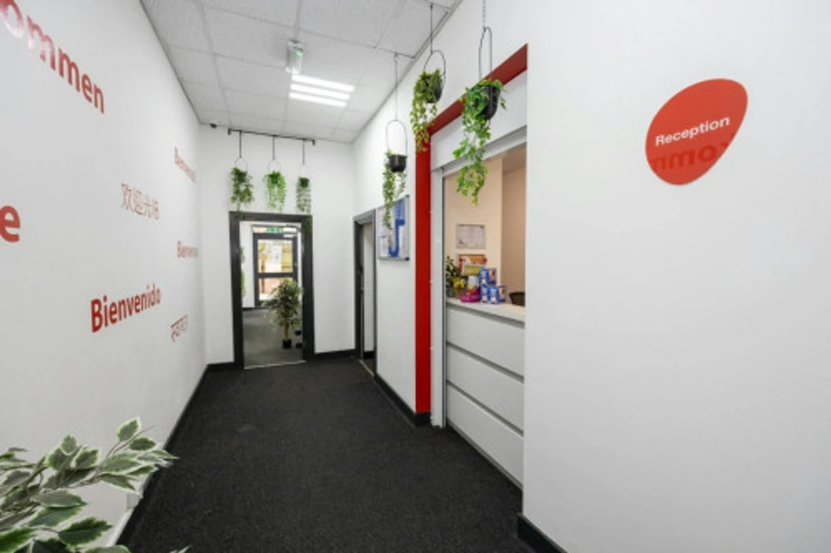 Pokój studencki w  z miejscem do nauki i wspólnymi udogodnieniami