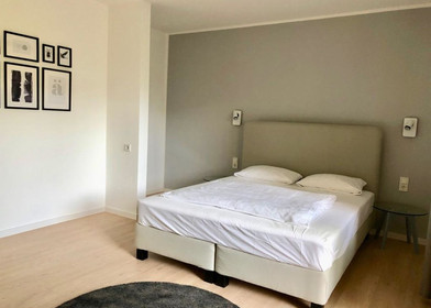 Luminoso e moderno appartamento a Kaiserslautern