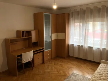 Private room at Trepčanska ulica 30, image 3 of 7