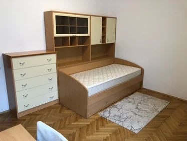 Private room at Trepčanska ulica 30, image 1 of 7