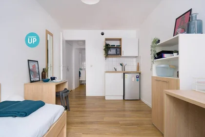 Stanza privata in residence in Villeurbanne, 69100, immagine 2 di 12