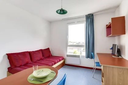 Stanza privata in residence in Villeurbanne, 69100, immagine 11 di 12