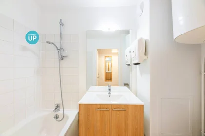 Stanza privata in residence in Villeurbanne, 69100, immagine 12 di 12