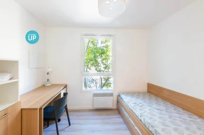 Stanza privata in residence in Villeurbanne, 69100, immagine 8 di 12