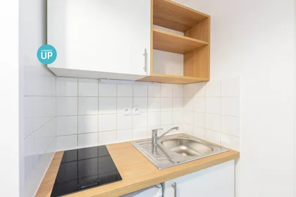 Stanza privata in residence in Villeurbanne, 69100, immagine 9 di 12