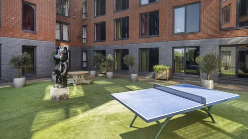 Entire apartment at Homes for Students Riverside House, image 3 of 19