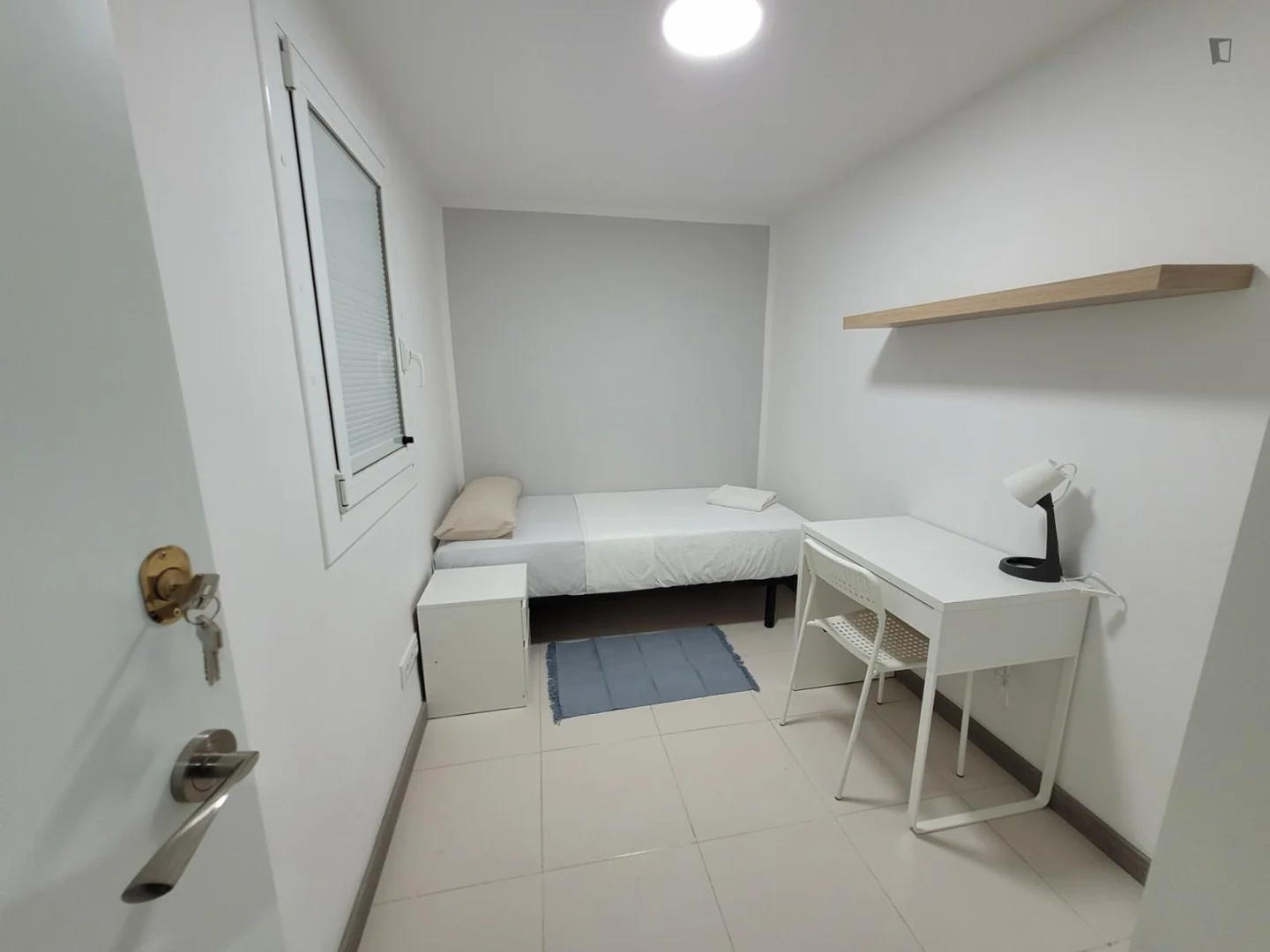 Camera accogliente per studenti disponibile a 