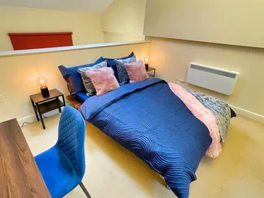 Logement entier à Rockingham Lane 4, image 9 de 19