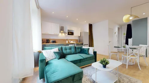 Özel oda konumu 39 Cr Albert Thomas, 69003 Lyon, France, 12 15 görüntüsü