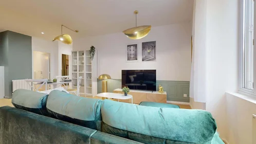 Özel oda konumu 39 Cr Albert Thomas, 69003 Lyon, France, 10 15 görüntüsü