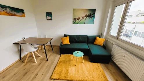 Logement entier à Elisabethinergasse 22, image 1 de 15
