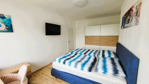 Logement entier à Elisabethinergasse 22, image 6 de 15
