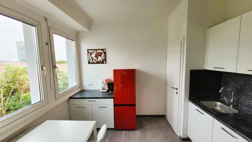 Logement entier à Elisabethinergasse 22, image 8 de 15