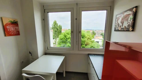 Logement entier à Elisabethinergasse 22, image 10 de 15