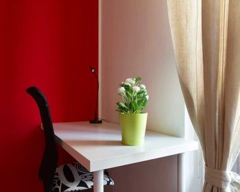 Privatzimmer in der Via Salvatore Barzilai, bild 7 von 20