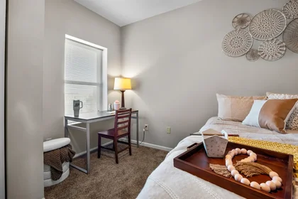 Appartamento intero in 320 S Grant St, West Lafayette, IN 47906, USA, immagine 1 di 10