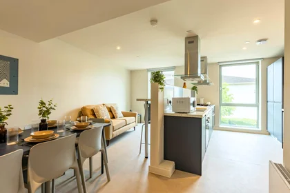Habitación privada en Pershore Junction Birmingham B30 2XN, imagen 9 de 20