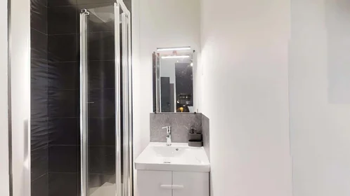 Privatzimmer in der 24 Bd Henri Arnauld, 49100 Angers, France, bild 2 von 19