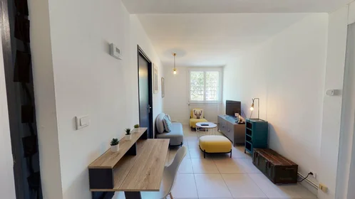 Prywatny pokój Montpellier, 34000, obraz 1 7