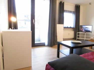 Entire apartment at Holländerstraße, image 24 of 41