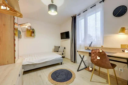 Stanza privata in 19 Rue Saint-Romain, 69008 Lyon, France, immagine 1 di 10