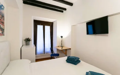 Gesamte Unterkunft in der Via Panfilo Castaldi, Porta Venezia, bild 2 von 9