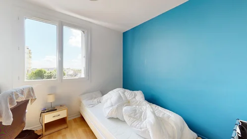 Chambre privée à 12 Rue Gustave Mareau, image 4 de 32