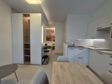 Gesamte Unterkunft in der Rue Darchis, , bild 6 von 10