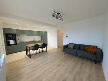 Logement entier à Rue Frans Hals, Anderlecht, image 1 de 10