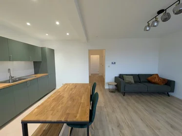 Logement entier à Rue Frans Hals, Anderlecht, image 2 de 10
