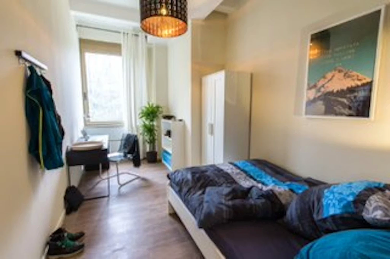 Affordable room for students with ample lighting in 