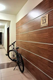 Entire apartment at Pana Balcera 6, image 21 of 23