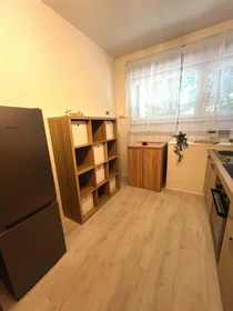 Habitación privada en Via Marsala, 13, 38122 Trento TN, Italy, imagen 16 de 26