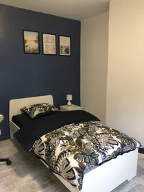 Habitación privada en Lille, 59800, imagen 1 de 10
