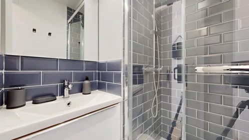 Quarto privado em 11 Rue Louis Antoine Bougainville, imagem 12 de 15