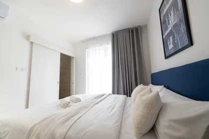 Apartamento inteiro em Triq Gnien Imrik, imagem 8 de 19