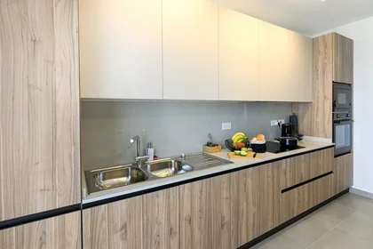 Apartamento inteiro em Triq Gnien Imrik, imagem 10 de 19