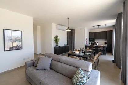 Apartamento inteiro em Triq Gnien Imrik, imagem 8 de 47